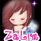 www.zalim-code.com