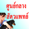 www.thaivetcentral.com